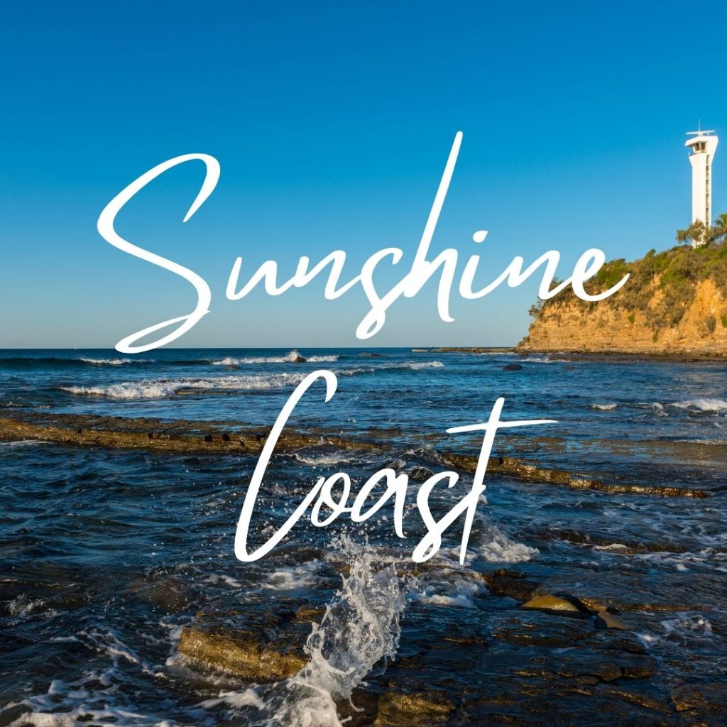 NDIS Allied Health Services Sunshine Coast- Blue Fox Health